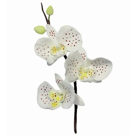 PME Moth Orchid Cutter set/3