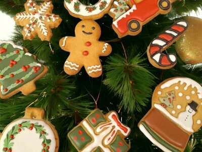 Ouder/Kind Workshop Kerst Koekjes decoreren met Royal Icing